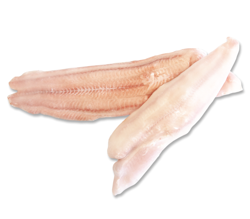 Welsfilet ohne Haut ca. 200-400g -TK-