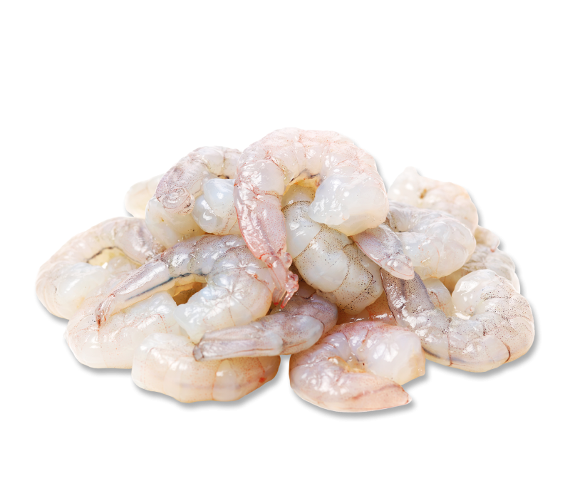 SW Garnelen 8/12 lbs geschält -TK-