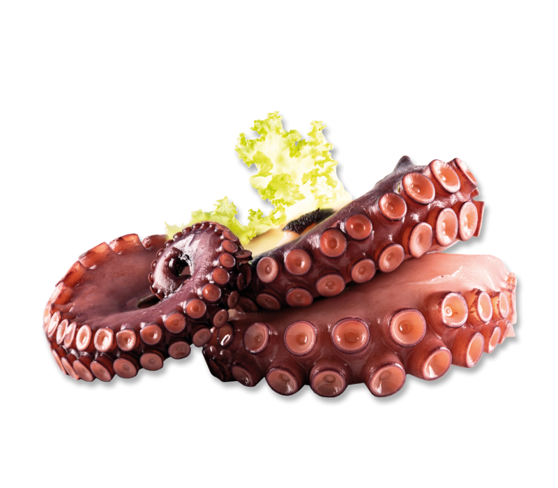 Pulpo/Oktopus-Arme gekocht 60/100g-TK-