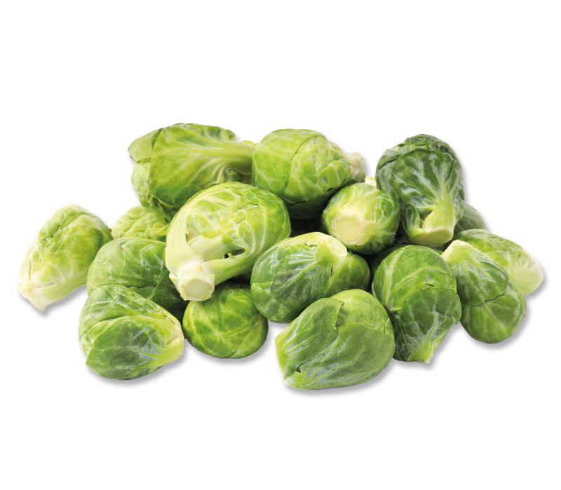 Rosenkohl 20-30 mm -TK-