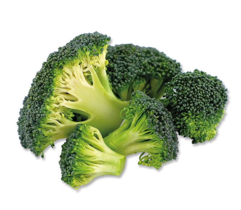Broccoli 20-40 mm -TK-