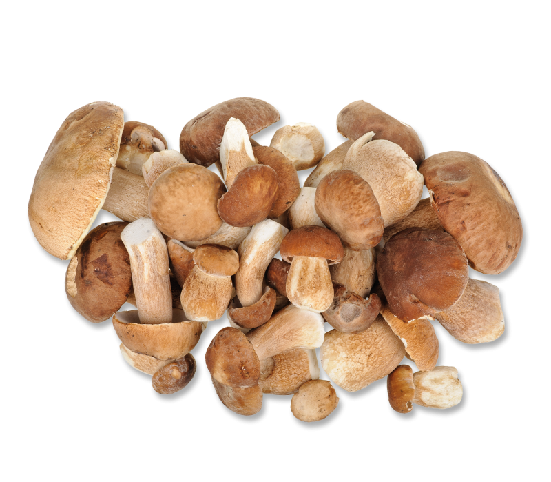 Steinpilze ganze Köpfe 1kg  -TK-