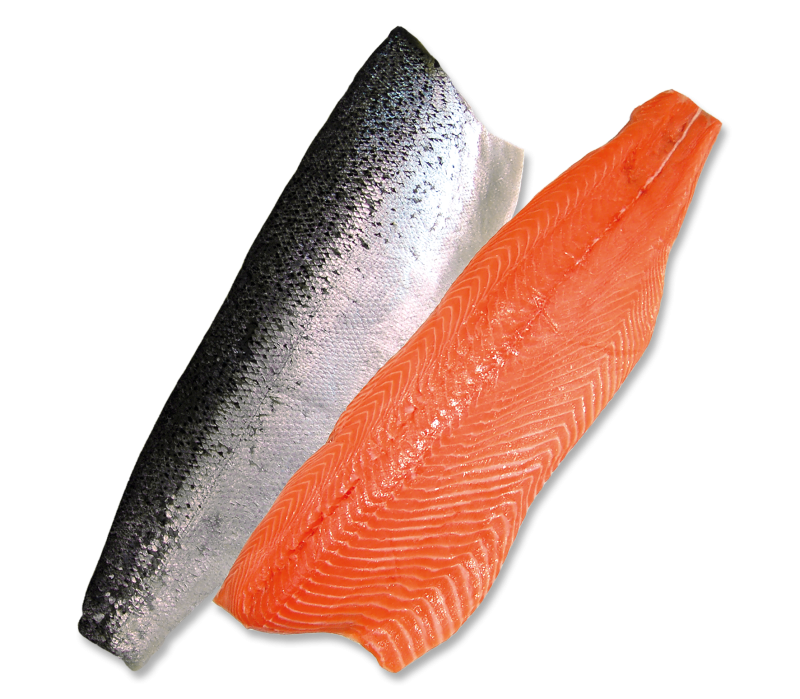 Norwegisches Lachsfilet frisch
