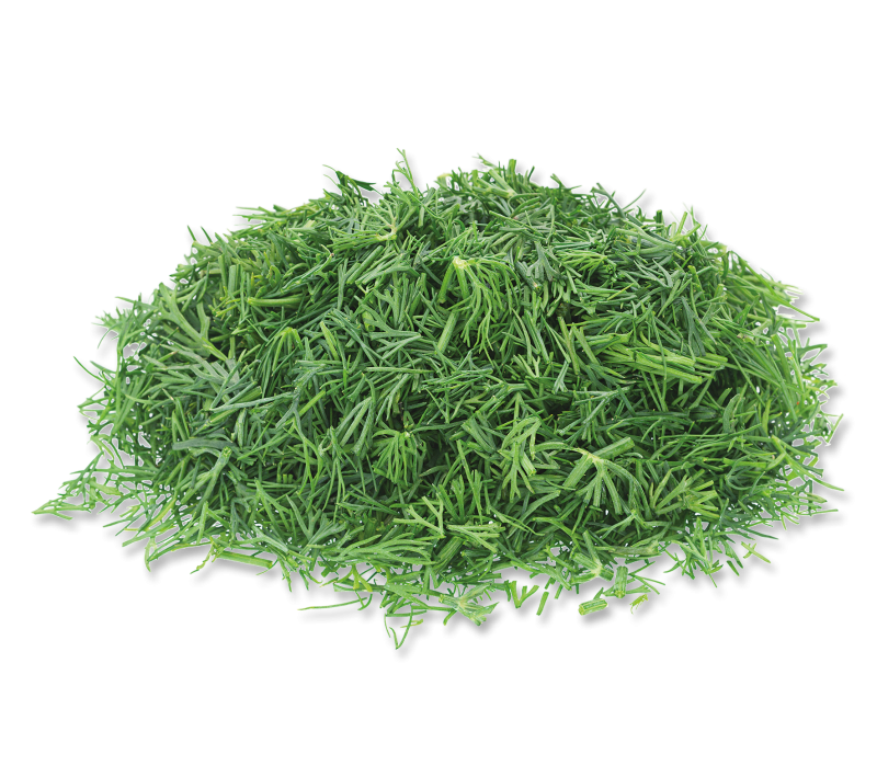 Dill  -TK-