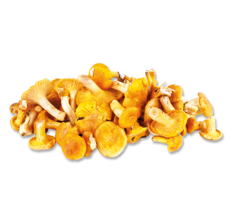 Pfifferlinge mittel  1 kg -TK-