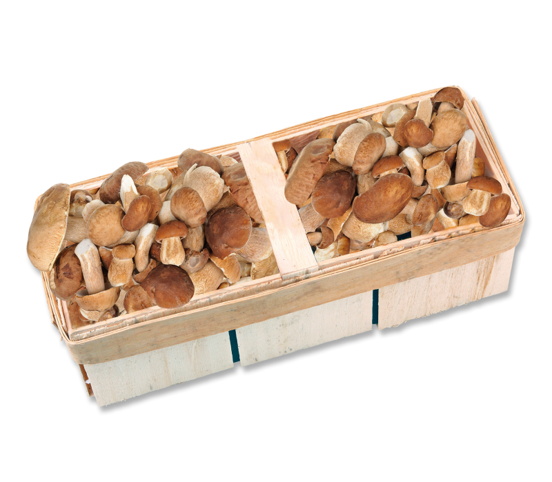 Steinpilze im 3kg Korb