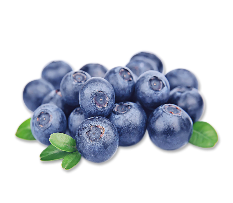 Heidelbeeren -TK-