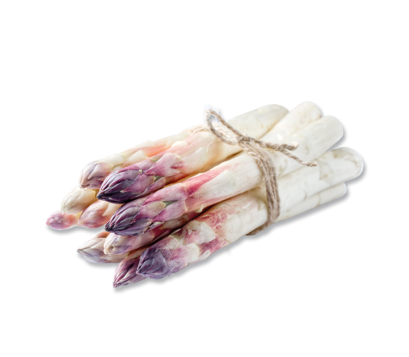 Beelitzer Spargel weiß/violett HKL II