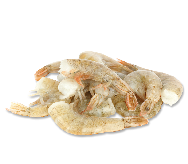 SW Black Tiger Garnelen 6/8 lbs  -TK-