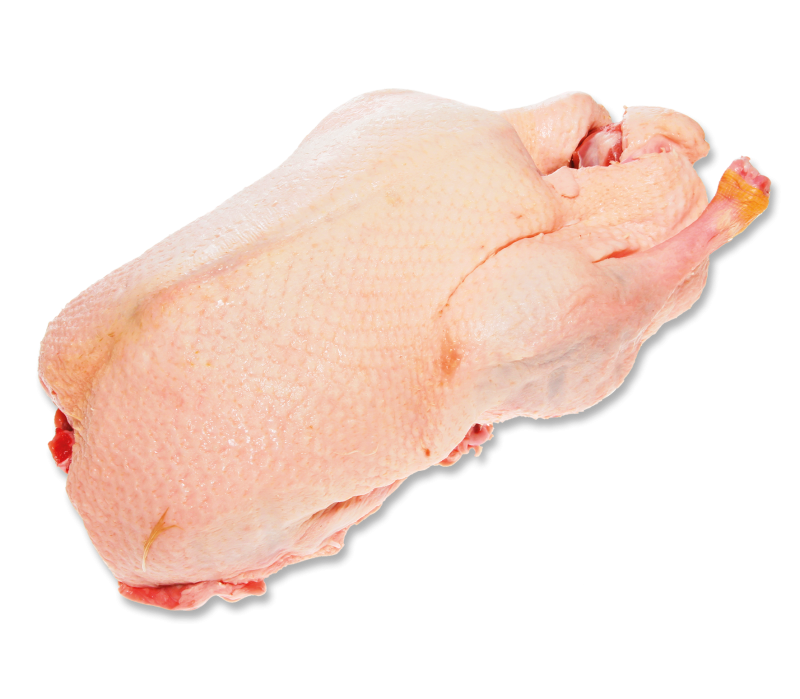 Barbarie Ente männlich ca.2,8kg