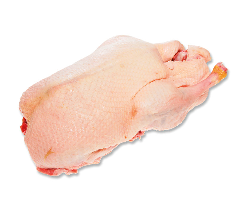 Barbarie Flugente HKL A  3,4kg -TK-