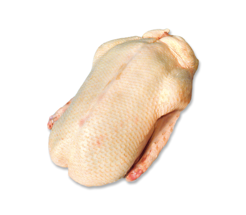 EU Grillente HKL A  2kg -TK-