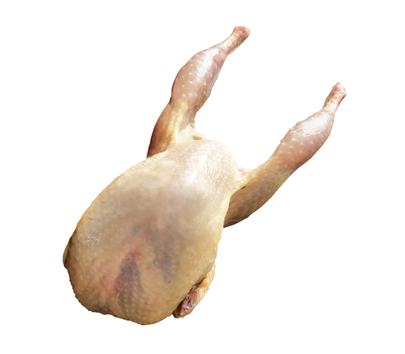 Frz.Wachteln ganz ca.170g