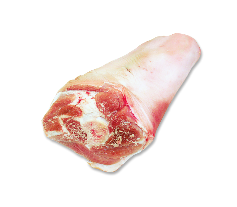 Vordereisbeine frisch