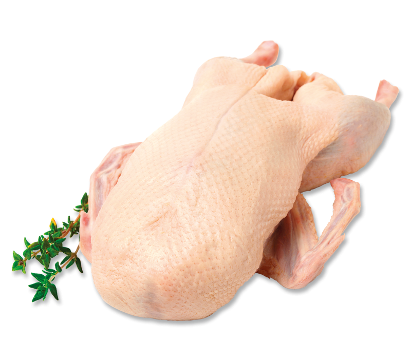 Poln.Hafermastgänse 4800g -TK-