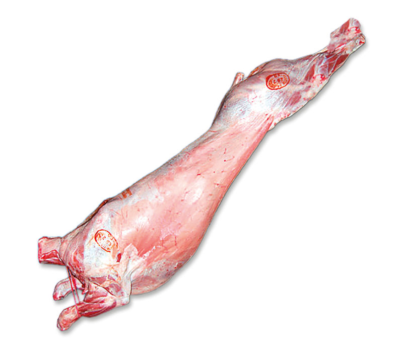 Ganze Lämmer