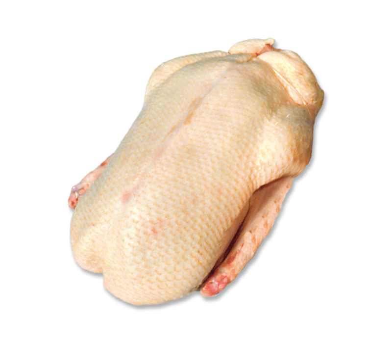 EU Grillente HKL A  ca. 2,2kg -TK-