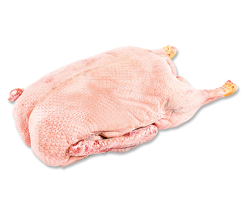 Frische Markeruper Gänse