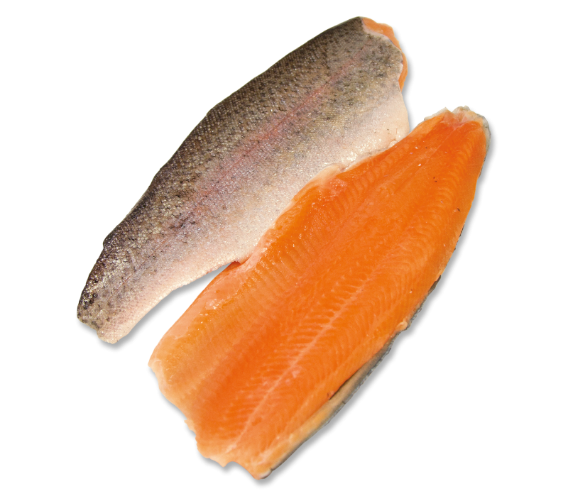 Lachsforellen Filet roh mit Haut -TK-