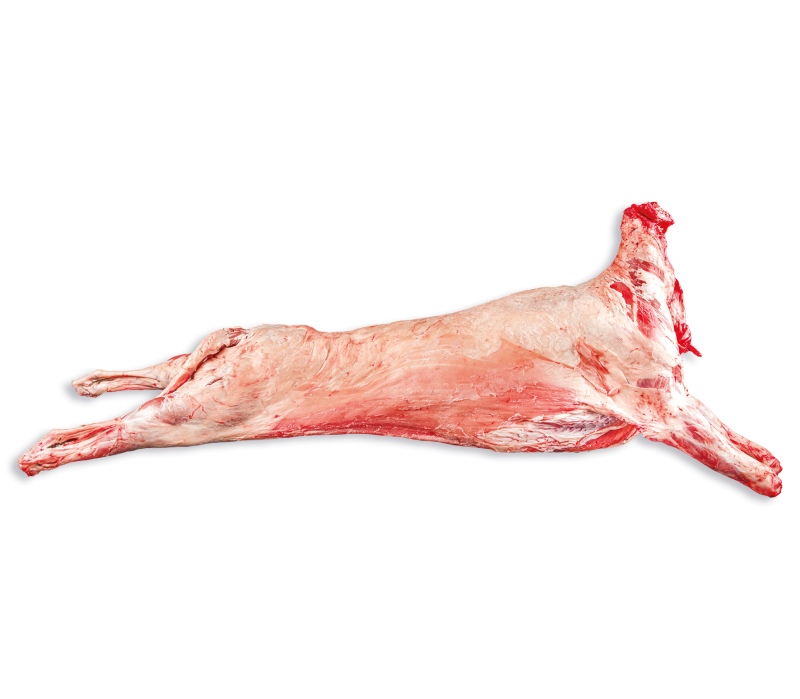 Lamm ganz, ohne Kopf, mit Nieren