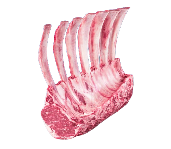 US Tomahawk