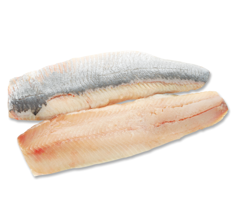 Emder Matjes in Öl 2,5kg Eimer